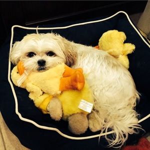 Meet your Posher, Amber